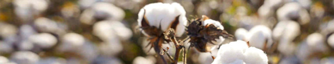 Towards more sustainable fashion