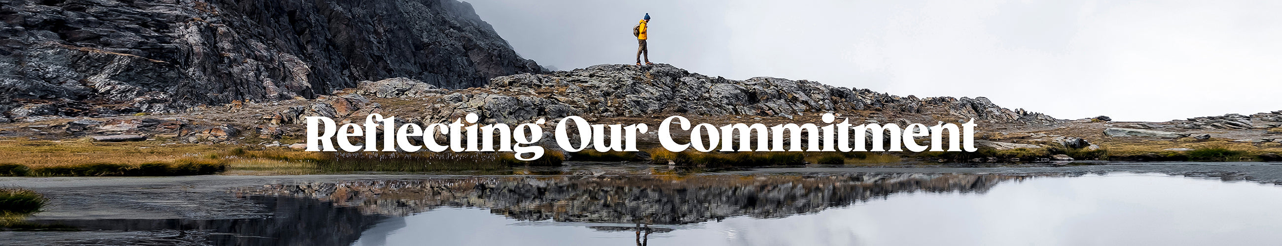 Reflecting our commitment