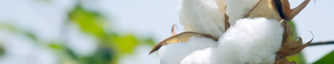 Better Cotton